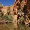 Afella Ighir oasis