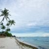 Alona beach palms