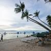 Boracay palms