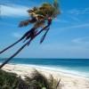 Carribean coast