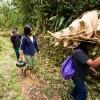 Carrying goods