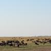 Chobe