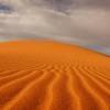 Desert profile