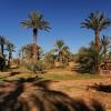Draa valley