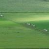 Field bunkers