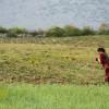 Field worker