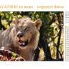 GEA Kruger National Park