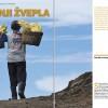 GEA Sulphur slaves