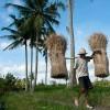 Going home, Bali