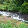 Hanging bridge