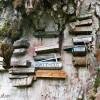 Hanging coffins, Sagada