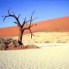 Hiddenvlei