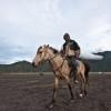 Horse rider, Bromo