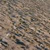 Flight over Okavango delta