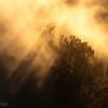 Pananjakan mist, Java