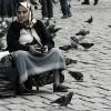 Pigeon mama