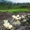 Road, Kawah Ijen