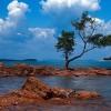 Rocky beach