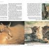 S&L Namibia National parks