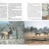 S&L Namibia National parks