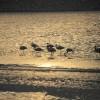 S&L Namibia National parks