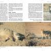 S&L Namibia National parks