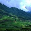 Sapa valley