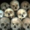 Skulls in Killing fields