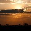 Sundown in Savuti