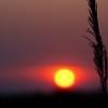 Sundown over Xakanaxa