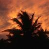 Sunset, Carribean coast