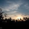 Sunset over rice fields, Bali