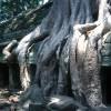 Ta Phrom