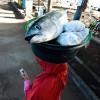 Tuna, Gili Trawangan