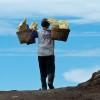 Worker, Kawah Ijen