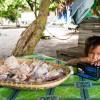 Young girl, Balicasag