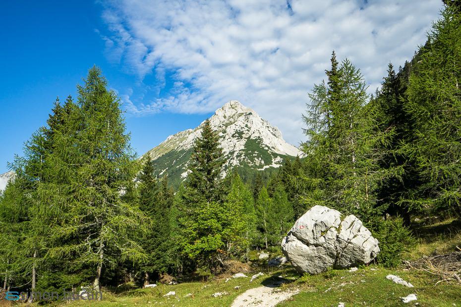 Vrtača – Simon Bučan
