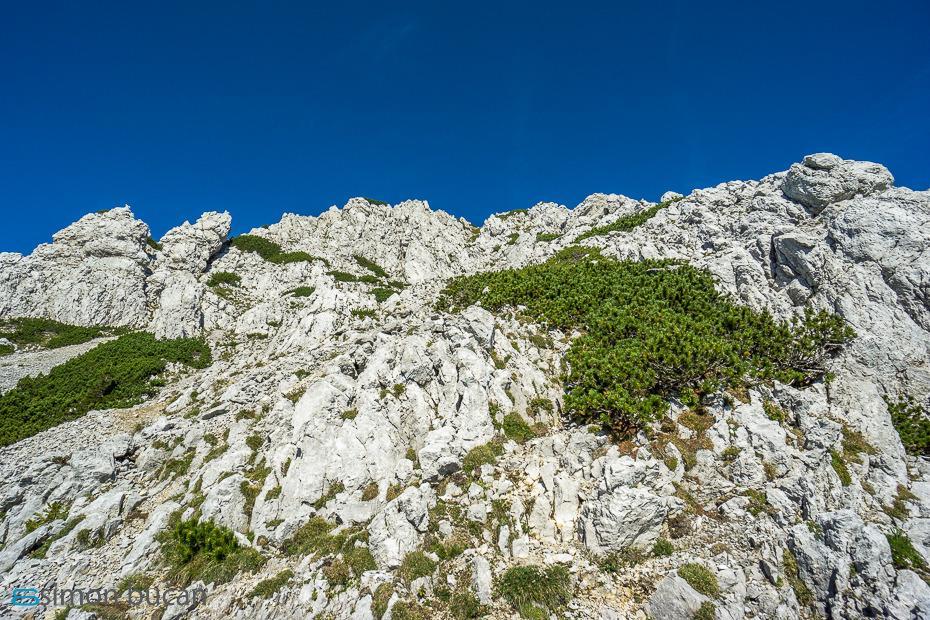 Vrtača – Simon Bučan